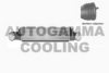 AUTOGAMMA 103823 Intercooler, charger